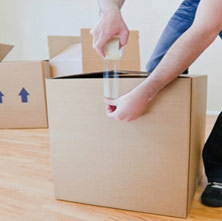 Shree Packways Cargo Movers Pvt Ltd Gurgaon