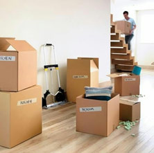 Sainik Cargo And Logistic Gurgaon