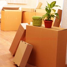 Himani Cargo Packers & Movers Gurgaon